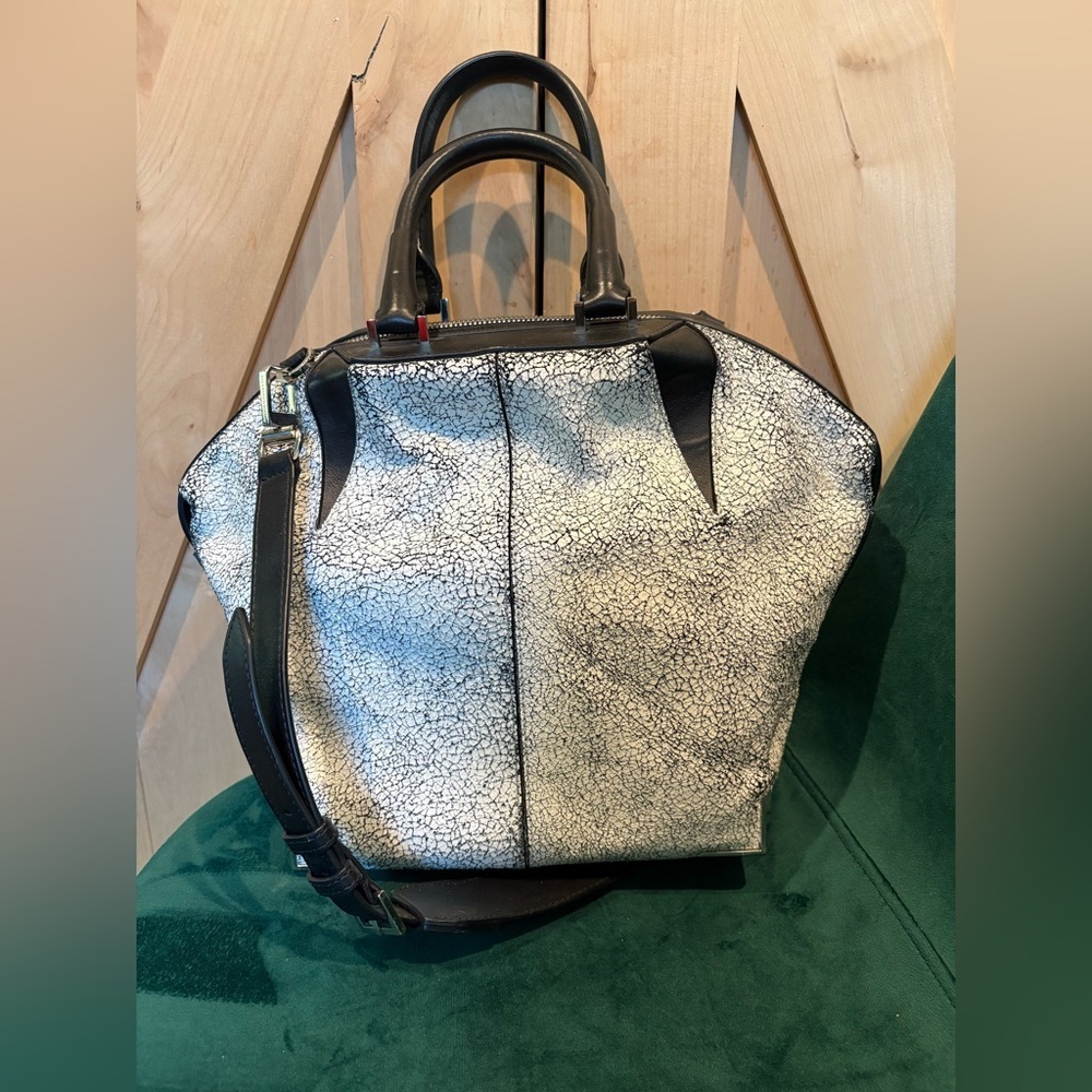 NWT Alexander Wang Prisma Emile Bag RARE - Picture 2 of 8